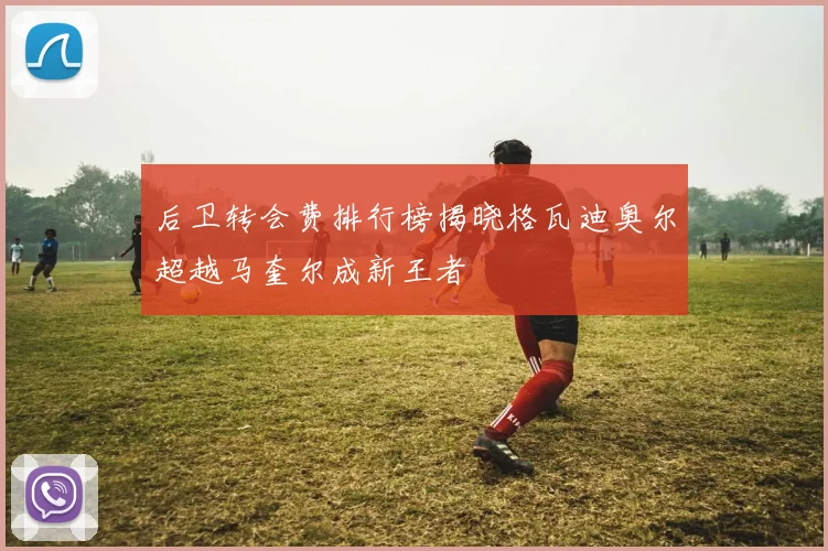 后卫转会费排行榜揭晓格瓦迪奥尔超越马奎尔成新王者
